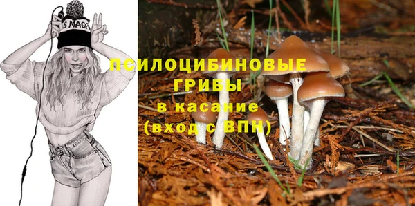 молекула духа Кинешма