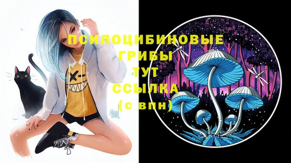 прущая мука Киреевск
