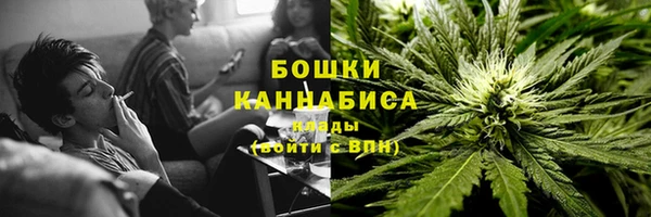 молекула духа Кинешма