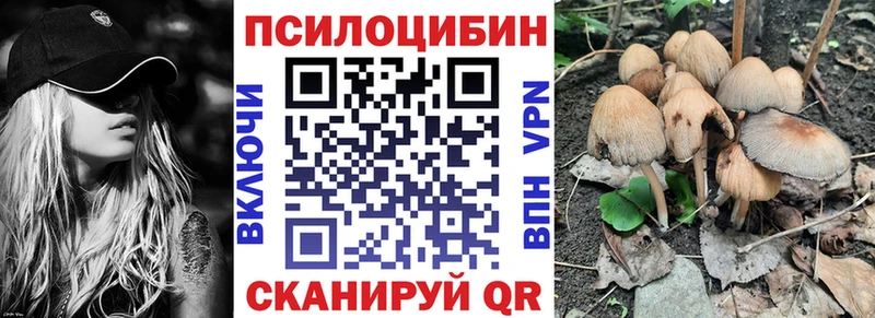 Купить закладки Багратионовск Псилоцибиновые грибы Cubensis